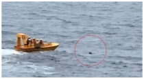 Disney-cruise-child-rescue-sea