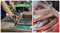 indonesia-cobra-meat-market-video-viral