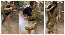 woman-carries-giant-python-viral-video