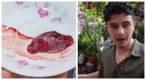 Vietnam-live-snake-heart-food-tradition