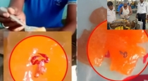 Scorpion-found-in-sweets-thirunelveli-shanthi-halwa-issue