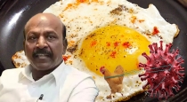 Bird Flu Alert in Tamil Nadu Health Department Warns Against Eating Half-Boiled Eggs Omelette 