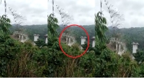 Mizoram Bridge Collapse 17 Died 