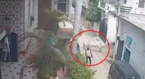 In Uttar Pradesh a Man Killed by a Buffalo Attack 