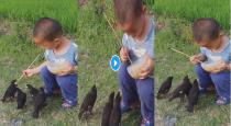 a Child Gives Food to Bird Video Goes Viral on Social Media 