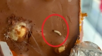Ulunthurpet Dairy Milk Chocolate Insect 