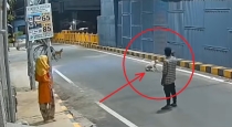 Coimbatore Shocker: Stray Dog Chases Away 17-Year-Old Accused of Sexually Harassing Woman