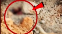 in Cuddalore 25 Year Old Girl Decomposed Body Recovered 