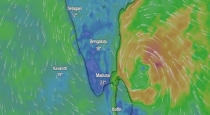 Chennai RMC Says Cyclone Will Form on Bay Of Bengal 