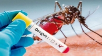 46 peoples under treatment for dengu fever