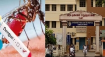 dengue affect in cuddalore district 