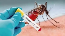 Recently Dengue Identified Who Recover from Corona Virus 