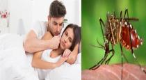 Dengue Fever Should Spread Enjoy With Partner Intercourse 