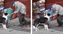 Old man helps to dog have water using his hand video goes viral