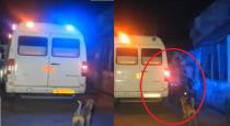 Madurai Man Killed by Brother Dogs Feeling Sad Run with Ambulance 