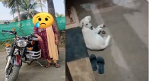 Pondicherry Yenam Women Suicide Dog Still wait Bridge 