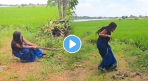 brave-woman-rescues-king-cobra-video