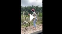 Girl catch big snake video viral