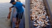 Piranha-fish-catching-video-goes-viral