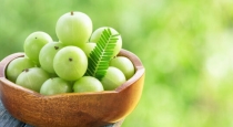healthy-and-nutritional-benefits-of-gooseberry