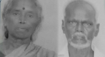 Sivanallur-temple-wasp-attack-death