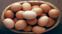 Egg Benefits Tamil 