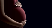 Pregnant Woman Dies After Husband Allegedly Kicks Her During Argument, Arrested