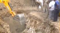 elephant buried in land by farmar