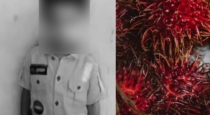 Rambutan-fruit-choking-death-tirunelveli-boy