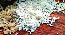 Fake-rice-experts-warn-about-plastic-and-synthetic-rice