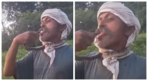 Snake bite a man who trying to kiss viral video