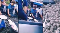 Chinese pick frog from van video goes viral
