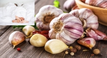 garlic eating benefits tamil