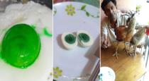 egg-yolk-in-green-color-in-kerala-video-goes-viral