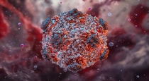 Hantavirus Spread Sparks Panic: Doctor Clarifies Lockdown Fears and Virus Reality