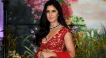 Katrina kaif vicky gowshal marriage video viral 