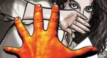 in Telangana to Andhra bus Girl Raped by Driver 