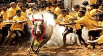 give-tractor-to-the-jallikattu-victory-player-anbumani
