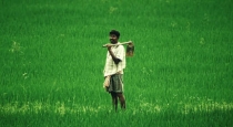 Tamilnadu agriculture budget 