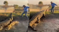 crocodile-dangerous-behavior in- man - viral-video
