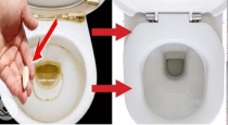 use-garlic-to-clean-toilet