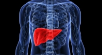 liver-health-tips
