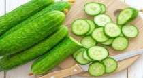 cucumber-benefits-tamil