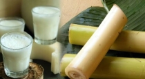 Benefits of banana stem juice