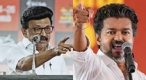 Tamil-nadu-election-counting-may4-tvk-preparations