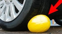 Lemon-under-vehicle-tyres-reason
