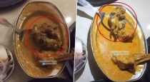   Punjab Ludhiana Family Order Malai Mutton in Hotel They Serve Curry With Rate  