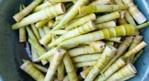 Benefits of Bamboo sticks 