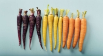 Benefits of black carrot 