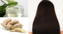 Best remedy for hair fall problem 